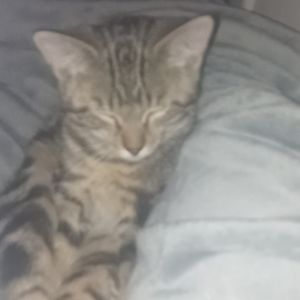 Meet your Posher, Rylie